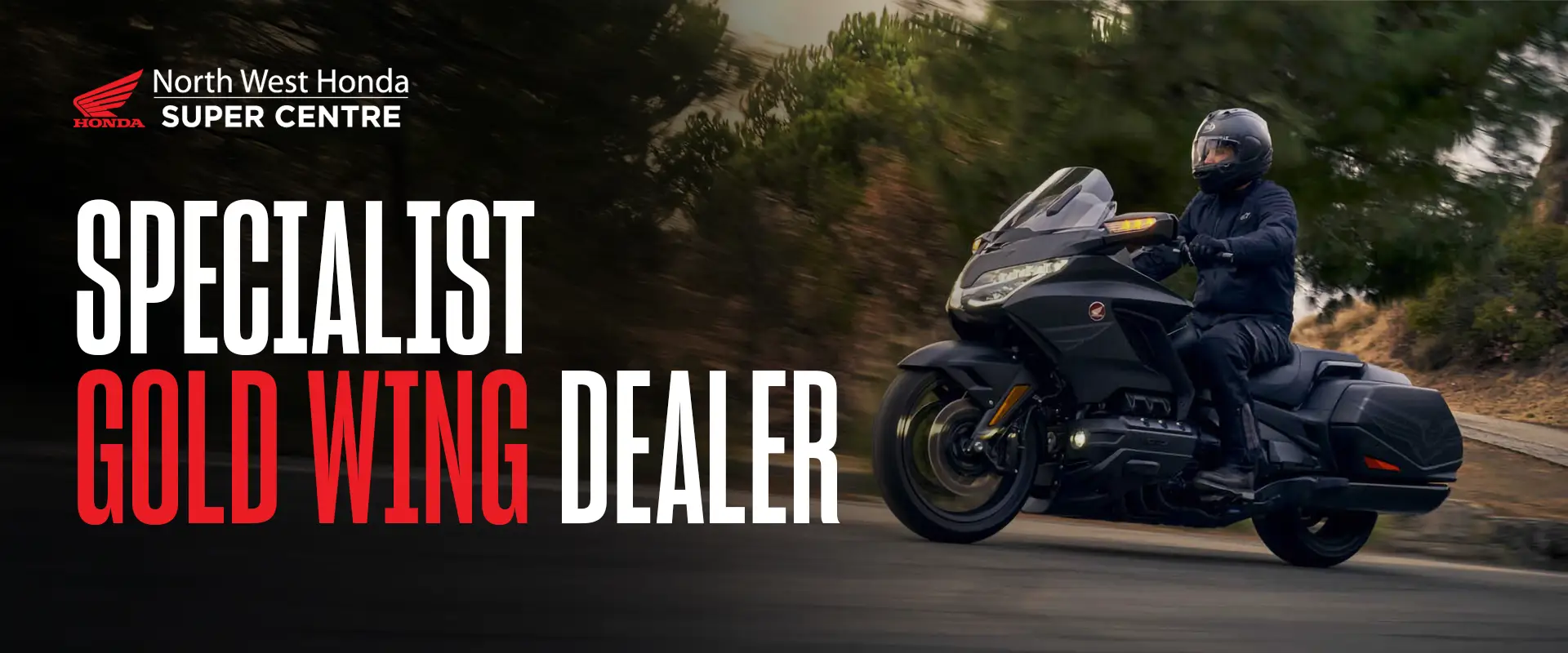Honda Gold Wing Dealer